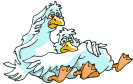 responsabiliy location skipper